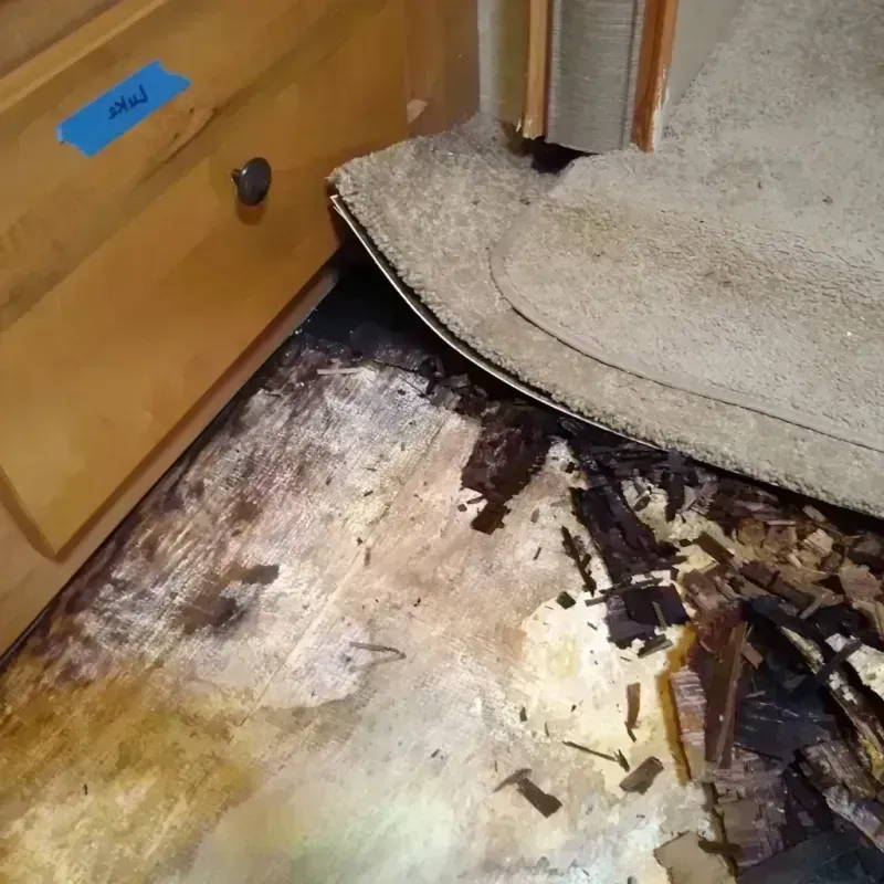 Wood Floor Water Damage in Saint Lucie County, FL